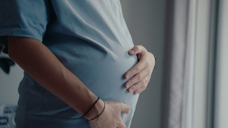 Fertility-focused family policies address both economic and social well-being