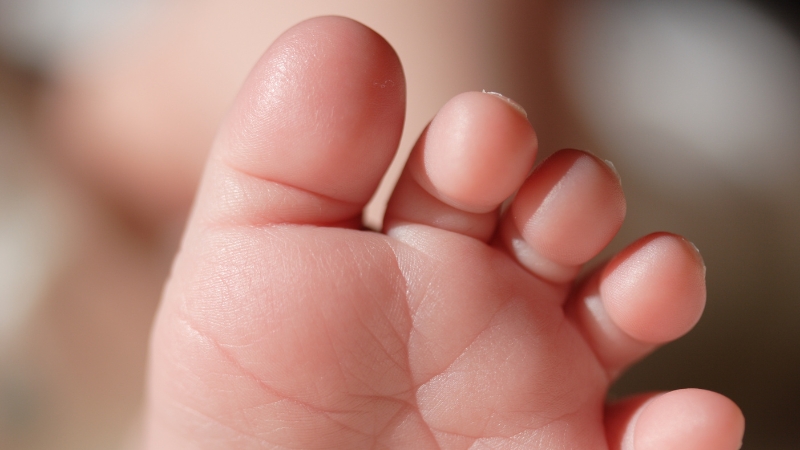 A close-up of a baby’s foot represents the link between fertility rates and replacement rate in population growth